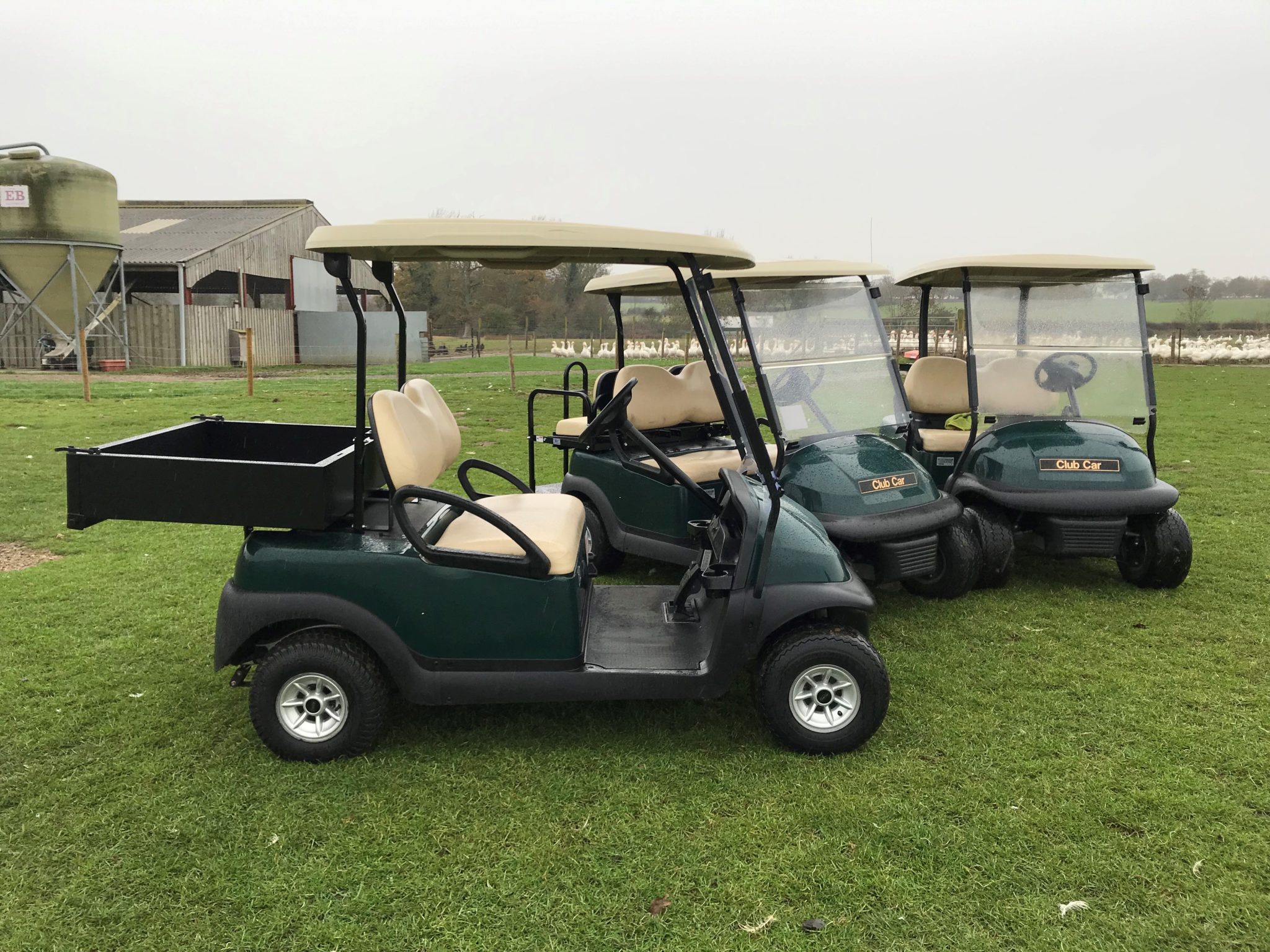 Buggies Gone Wild - fdajkng
